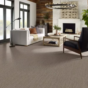 Carpet in a sitting room | Joseph's Flooring