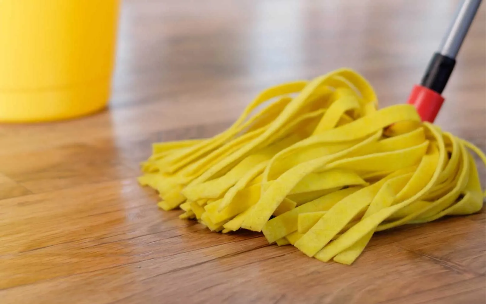 Laminate care | Joseph's Flooring