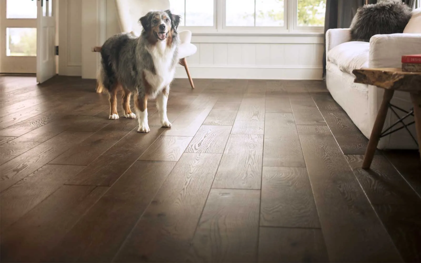 Pet perfect floor for pet owner | Joseph's Flooring